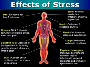 Stress-Tips-Calm-Your-Mind-Heal-Your-Body